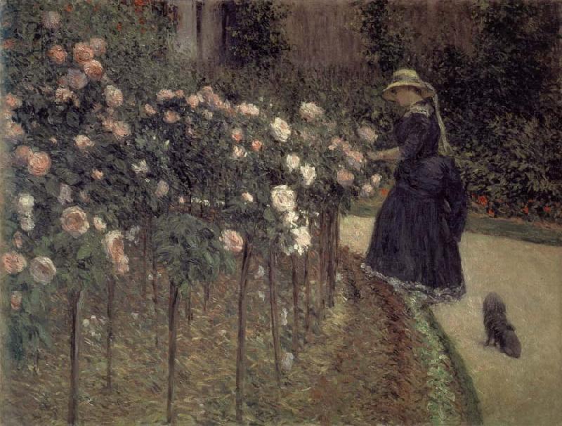 Gustave Caillebotte Roses-The Garden in Petit-Gennevilliers Sweden oil painting art